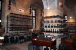 photo Visite du musée des fers à repasser - journées du patrimoine