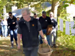 Le Bel Automne | Festival Nature & Culture