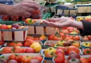 Marché du Jeudi de Berre l'Étang