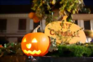 photo Fête de la citrouille