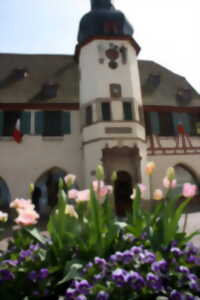 photo Visite guidée de l'Hôtel de Ville, Laube et Jacquemart - JEP