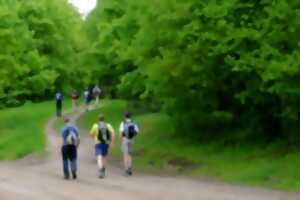 photo Marche populaire de montagne