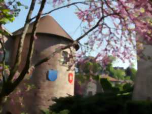 Journées européennes du patrimoine - musée du chapitre