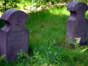 photo Visite du cimetière mennonite de Salm