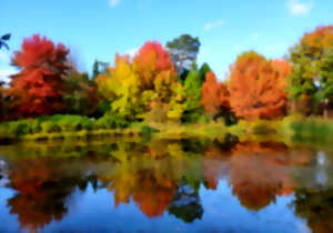 photo Dimanches d'Automne