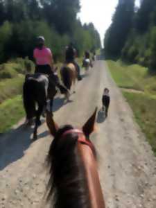 PORTES OUVERTES AU RANCH DU STOSS