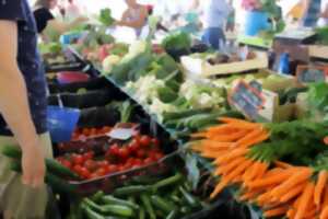 Marché traditionnel du Chat d'Oc