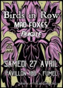 Concerts Birds In Row / Mad Foxes / Fragile - 3e date des 25 ans d'After Before !