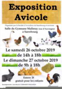 photo Exposition avicole