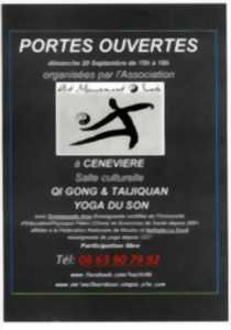 Stage de Qi Gong