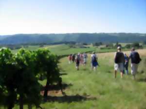 photo Atelier huiles essentielles au camping Les Vignes