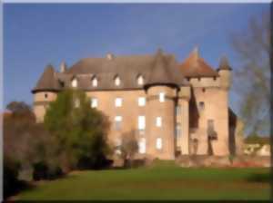 photo Visites Guidées du Château de Lacapelle-Marival