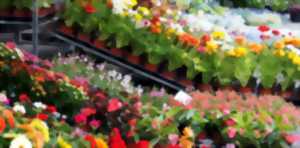 Foire de printemps à Livernon