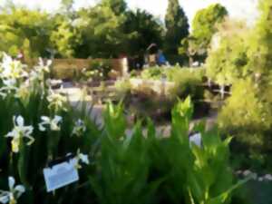 photo Le jardin médiéval de Cardaillac fête ses 20 ans !