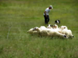 photo Randonnée thématique sur les mégalithes du Lot à Saint-Chels