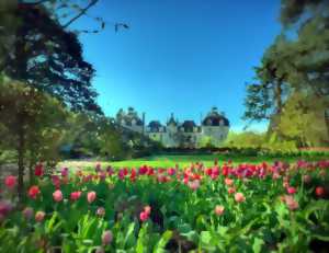 Fête des plantes au château de Cheverny