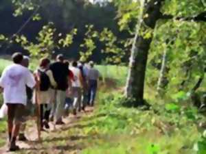 photo Randonnée pédestre