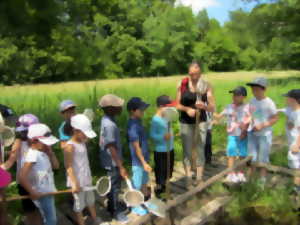 photo Le petit peuple d'eau douce