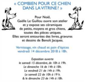 à Qui Est Ce Petit Chien Dans La Vitrine à Vous Après