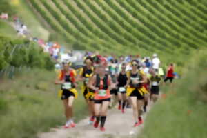 photo Marathon du vignoble d'Alsace