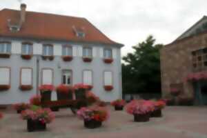 photo Marché aux fleurs