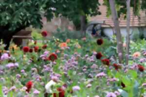 photo Sortie : nature en ville