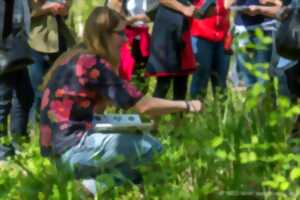 photo Sortie : si les plantes m'étaient contées
