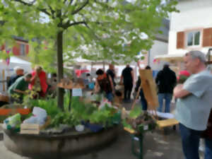 photo Marché de printemps