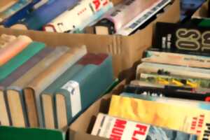 Bourse aux livres, CD, DVD, vinyles du Foyer Rural