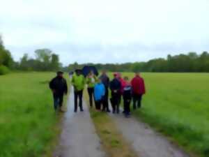 photo Marche et foulée des castors