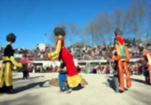 Bouches Du Rhone Fete Patrimoine Culture Carnaval Agenda Saint Martin De Crau 13310