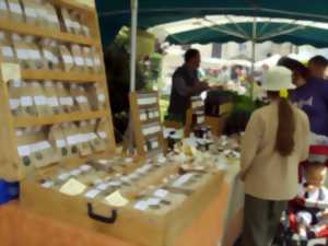 photo Marché bio et aux plantes