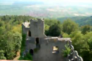 photo Tous aux châteaux pour le 1er mai ! : château du Bernstein