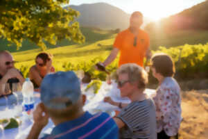 photo Dîners au coeur du vignoble !