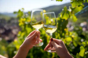 photo Pique-nique chez le Vigneron Indépendant d'Alsace