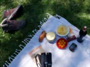 photo Apéro nature nocturne à Terres d'Oiseaux