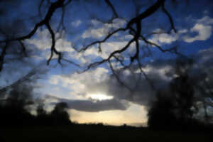 photo Balade à la tombée de la nuit