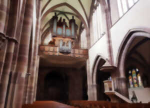 photo Les Estivales de l'Orgue