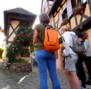 photo Visite guidée d'Eguisheim