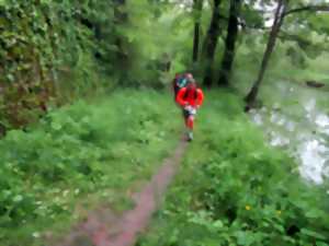 Trail urbain Verdunois