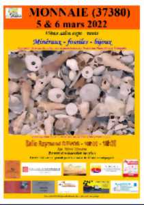 photo Salon expo minéraux, fossiles et bijoux