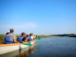 Visite de la réserve ornithologique et de son delta à pied et en canoë
