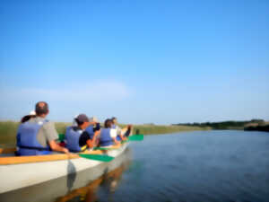 photo Visite guidée de la réserve ornithologique à pied et de son delta en canoë collectif