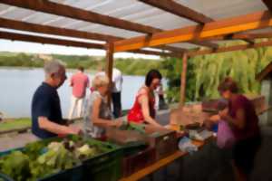 photo Marché de producteurs locaux - vendredi