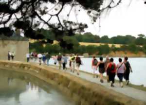 Pédigolfe