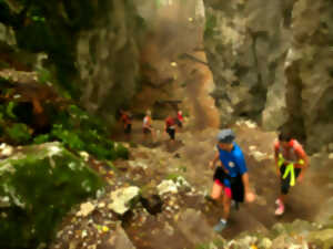 Les Courses du Jura Alsacien à Ferrette