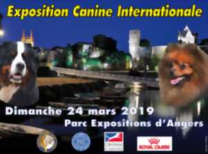 Exposition canine internationale
