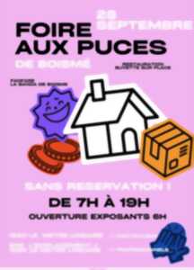 photo Foire aux puces