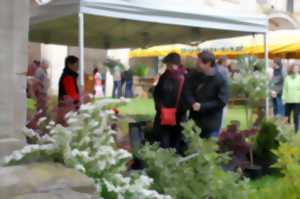 photo Marché de terroir