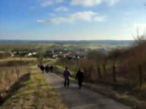photo 29E MARCHE POPULAIRE INTERNATIONALE